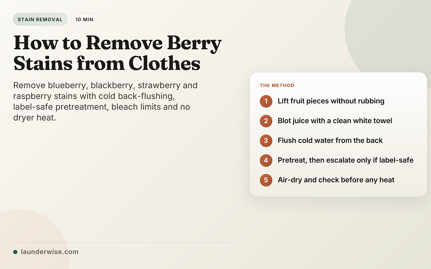 How to Remove Berry Stains from Clothes